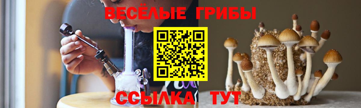 Псилоцибиновые грибы Psilocybine cubensis Ликино-Дулёво